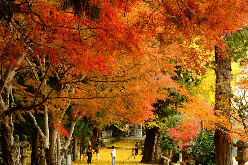 三重県紅葉の名所（積田神社・フォトギャラリー）