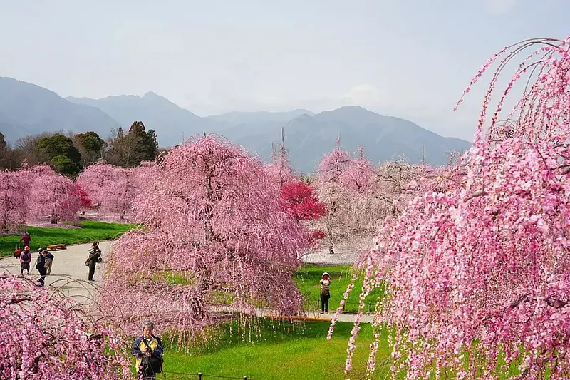 鈴鹿の森庭園