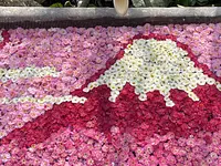 かざはやの里の梅の花手水「Mt.Fuji」