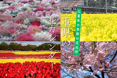 三重県の花カレンダー