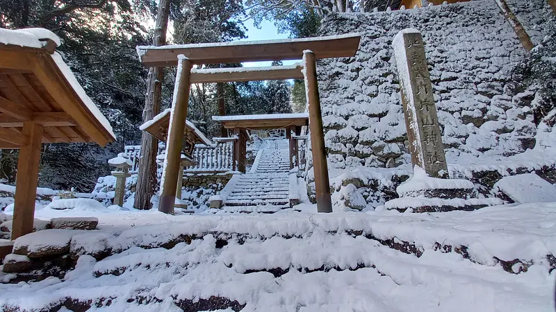 旧穂原小学校の大銀杏