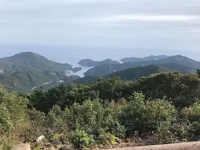 Walking up the world heritage site Kumano Kodo to Mt. Yaki. We will explain the historic route and introduce recommended spots in the surrounding area.