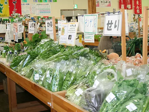 店裡有很多新鮮蔬菜