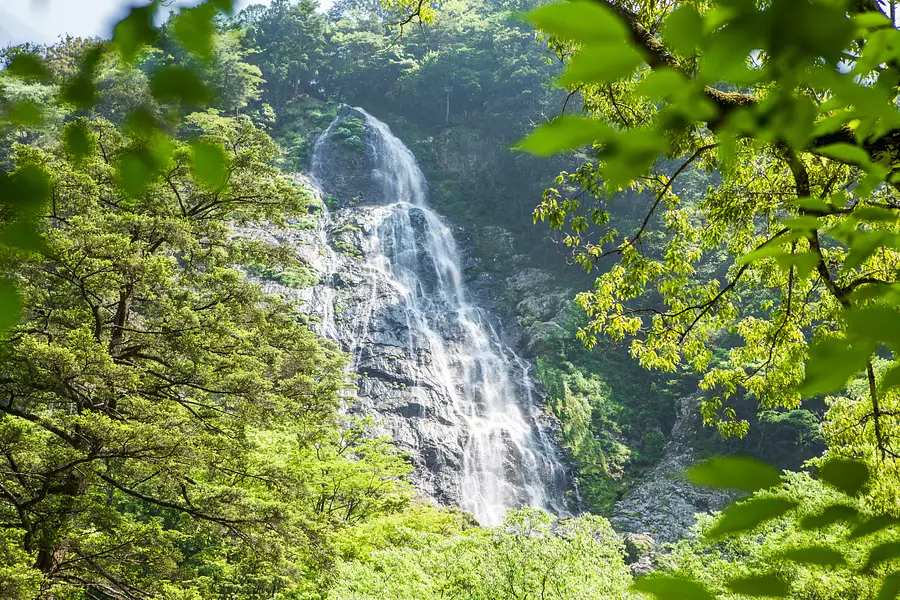 大杉谷登山道ボランティア整備プロジェクト’24