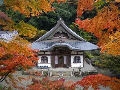 Hojas de otoño en el templo Shindaibutsuji