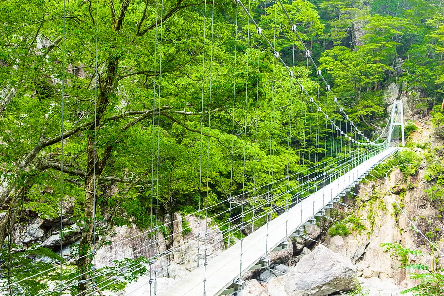 大杉谷登山道ボランティア整備プロジェクト’24