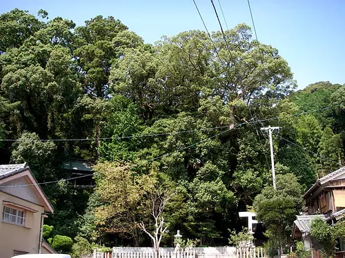 Complexe du sanctuaire du sanctuaire Nagashima