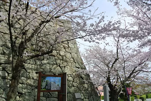 It is also famous as a cherry blossom viewing spot in spring.