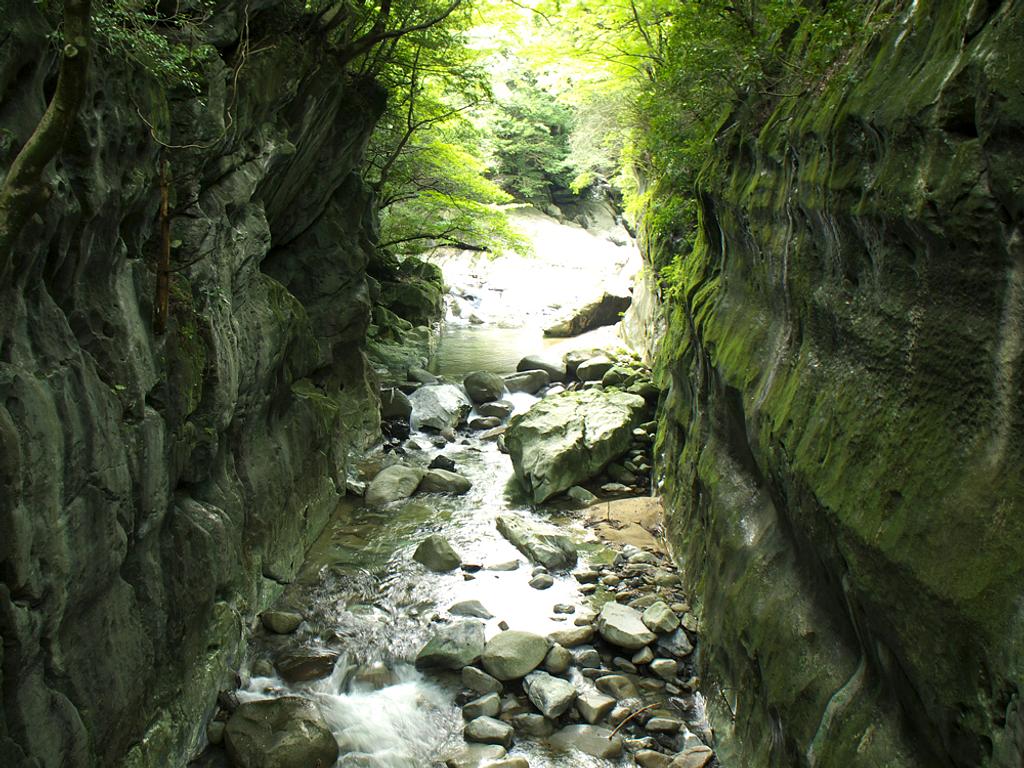 小岐須の屏風岩 | 観光スポット | 観光三重(かんこうみえ)