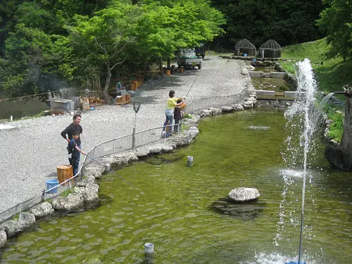 잡기 체험을 즐기자 ♪