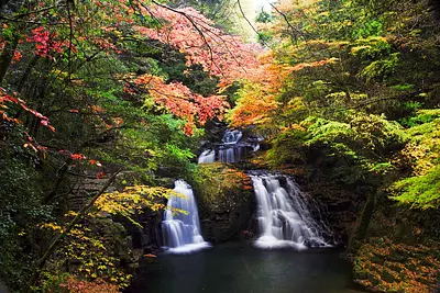 Hojas de otoño en Cataratas Akame Shijuhachi