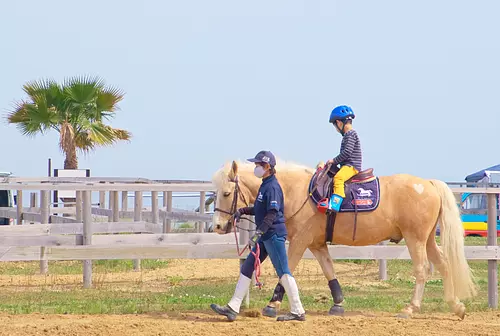 [Horseback riding experience while looking at the sea] Pony ride event