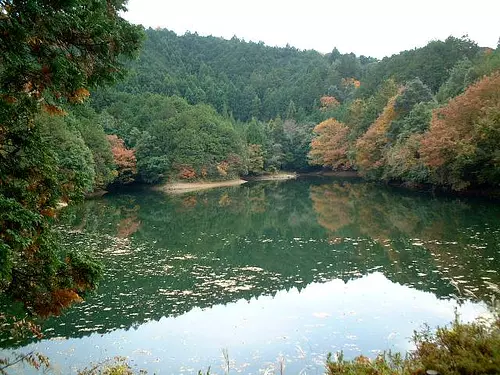 Parque forestal Takihara ciudad de Taiki