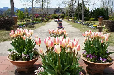 松阪農業公園ベルファーム