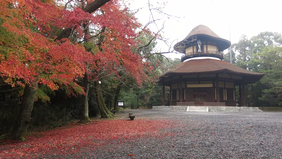 Feuilles d'automne à Haiseiden