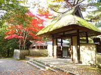 Feuilles d'automne au parc d'Ueno