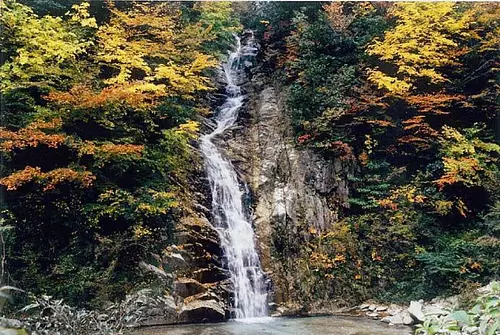 Autumn leaves of Ugakei