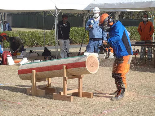 8th Mie Chainsaw Technical Competition in VISON