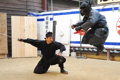 spectacle de ninjas