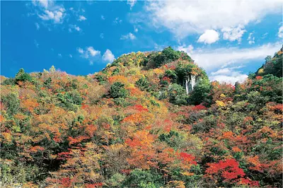 Hojas de otoño de Valle Kaochidani