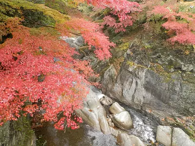 Hojas de otoño en el valle de Kawachi