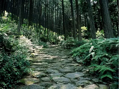 熊野古道伊势路 - 世界遗产纪伊山地的圣地和参拜道 -