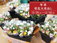 Year-end cut flower sale