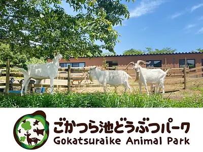 ciudad de Taki (Parque de animales del estanque Gokatsura)