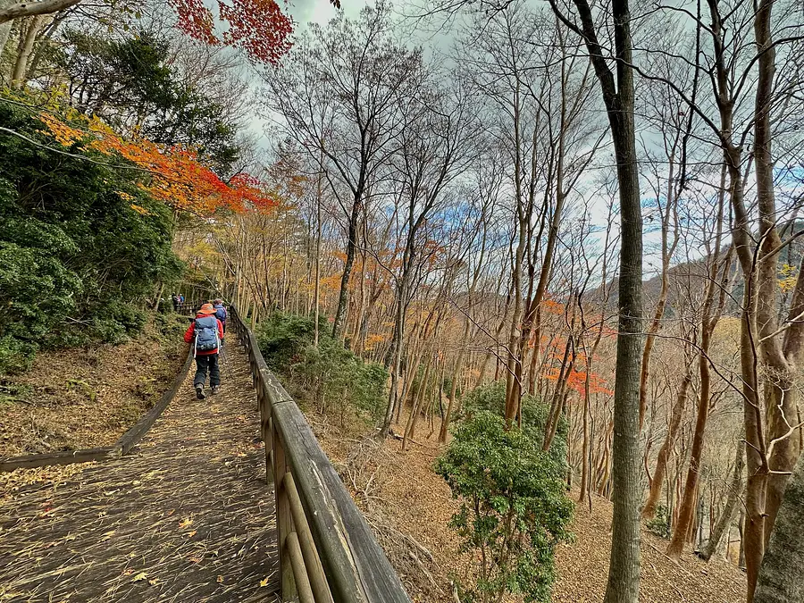 北総門山と滝頭不動滝の半日トレッキング【昼食付】