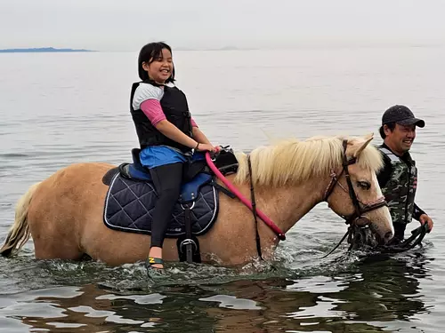 jugando en el mar con caballos
