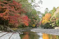 伊勢神宮の紅葉　【伊勢神宮　内宮】