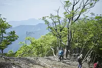 【2025年5月】 登山・トレッキング イベント