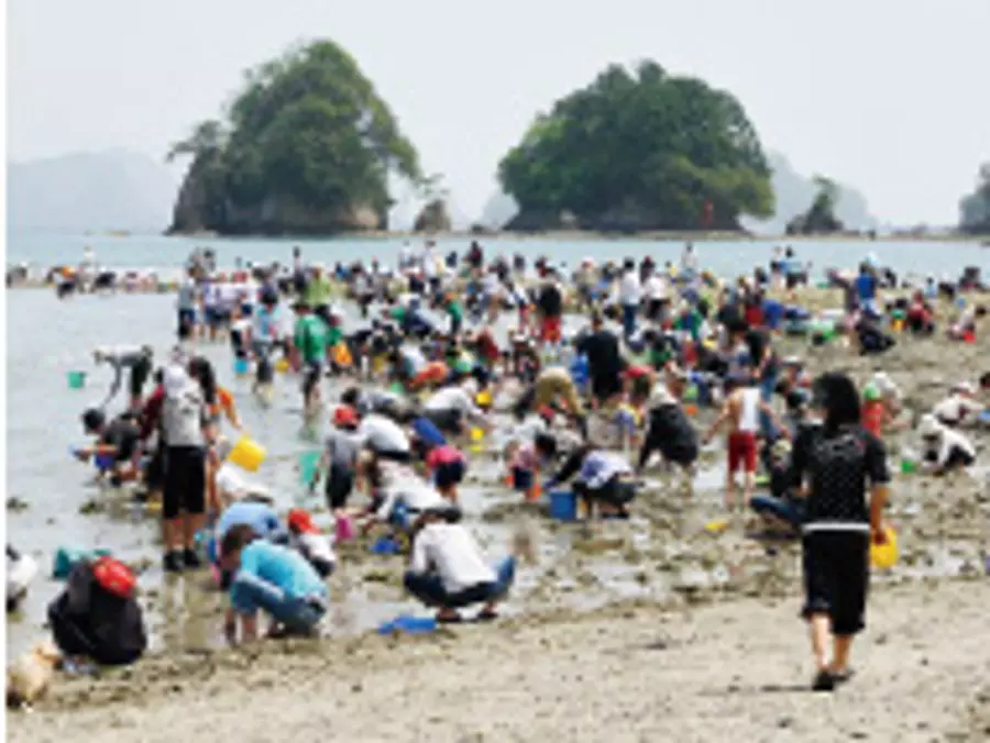 向井黒の浜の潮干狩り