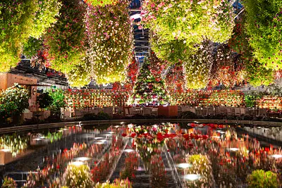 徹底解說名花之裡（Nabananosato）夏季燈飾2023 今年的重點是全新的海棠之夜嘉年華！