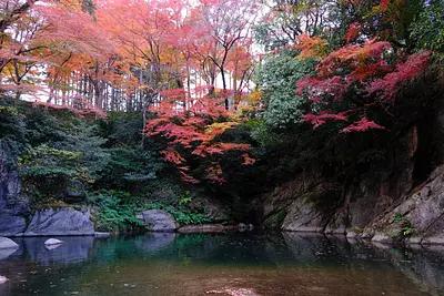 Feuilles d&#39;automne dans la vallée de Kawachi (2)