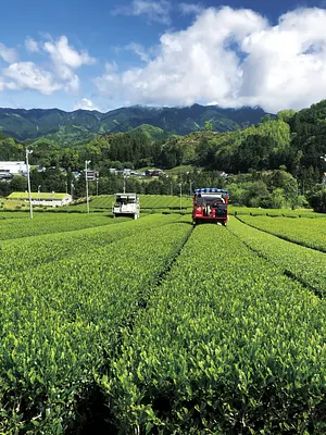 2024年12月～2025年2月　深野和紙 紙すき体験と松阪茶を学ぶお茶教室