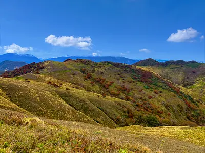 秋の山にやってくる「赤いヒツジ」！？秋の竜ヶ岳登山をレポートします！