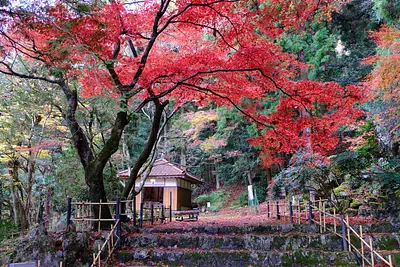 鳴谷山聖宝寺の紅葉（1）