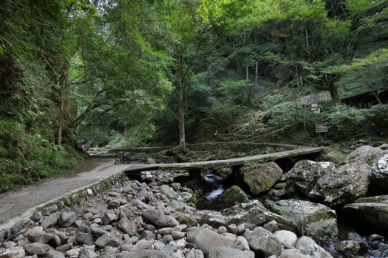 Cataratas Akame Shijuhachi misteriosa luz de bambú 005