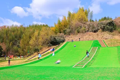 Le Nakasei Green Park a été rénové ! Introduire de nouveaux espaces tels que des cafés et des aires de jeux pour chiens
