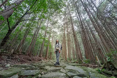 What is "pilgrimage"? Walk, eat, pray, sleep...let's go and meet your ``simple self'' on Kumano Kodo Iseji. First part