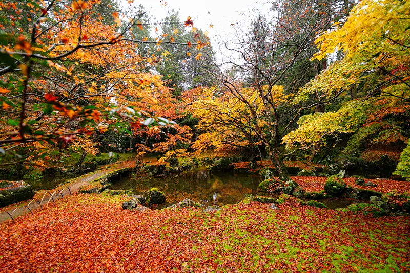 北畠神社の紅葉