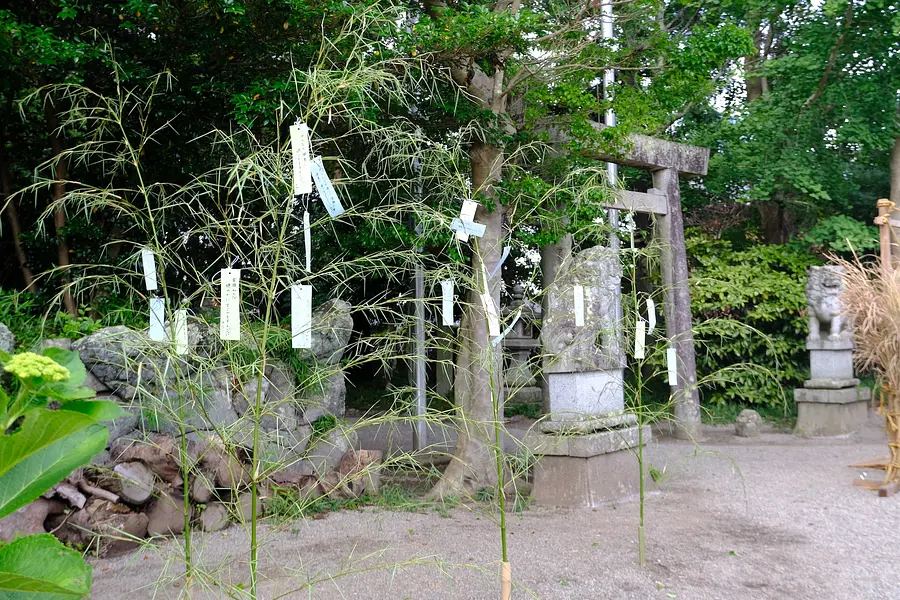 七夕御朱印と笹飾り・竹神社