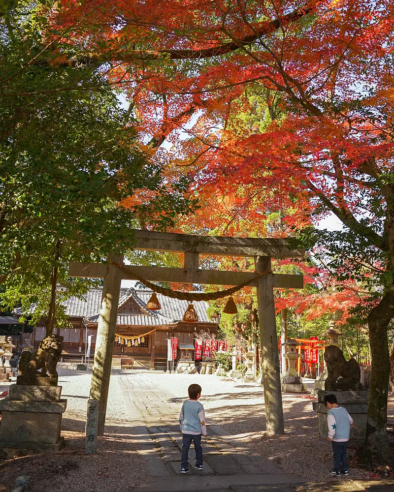 Hojas de otoño en el yagami