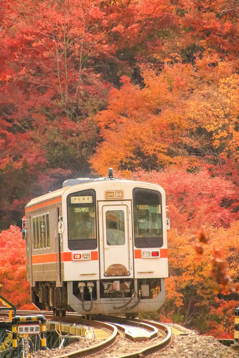 名松線と紅葉