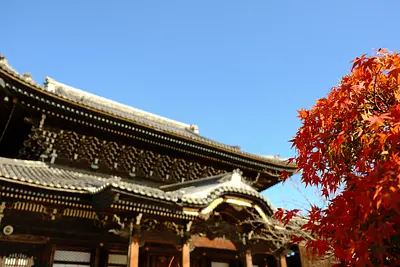 高田本山専修寺の紅葉（2）