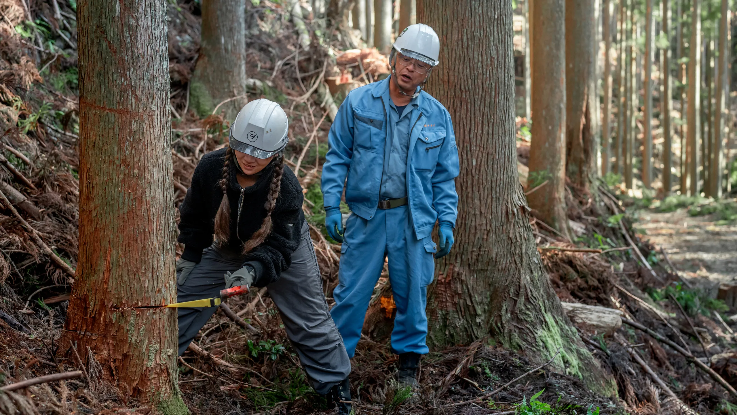 樹齢１００年の森でプレミアムな伐採体験と木の箸&箸置きづくり
