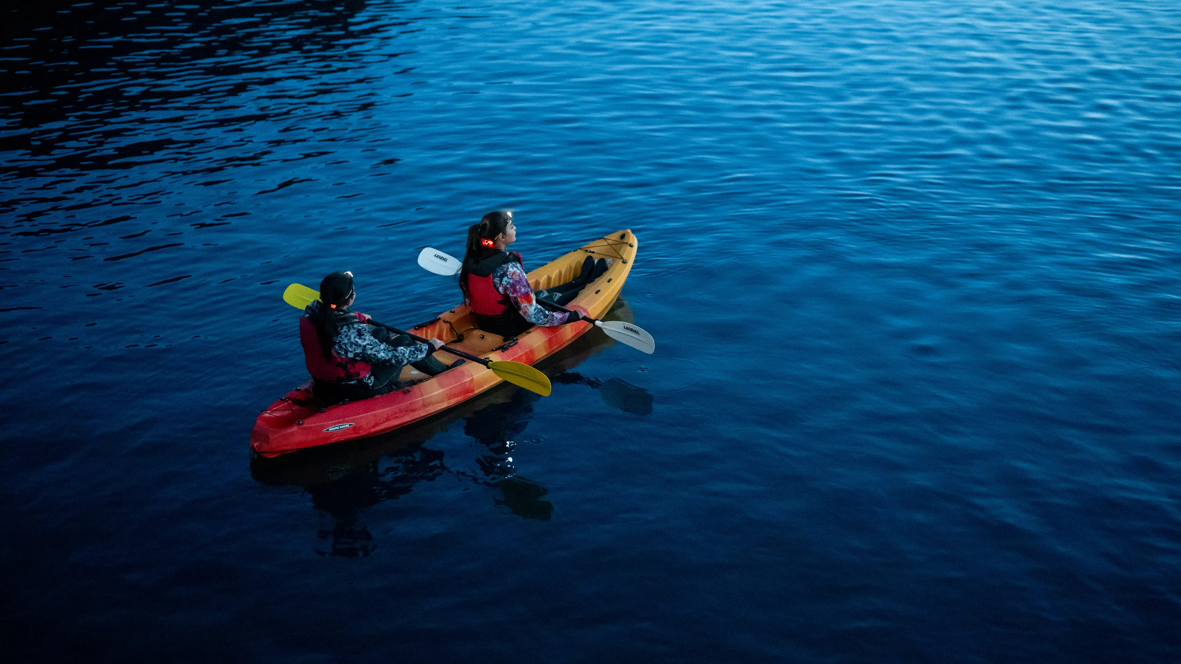 A Noctiluca night tour on a sea kayak
