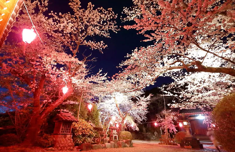 普門寺（津市）