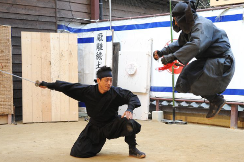 Ninja MUSEO de Igaryu